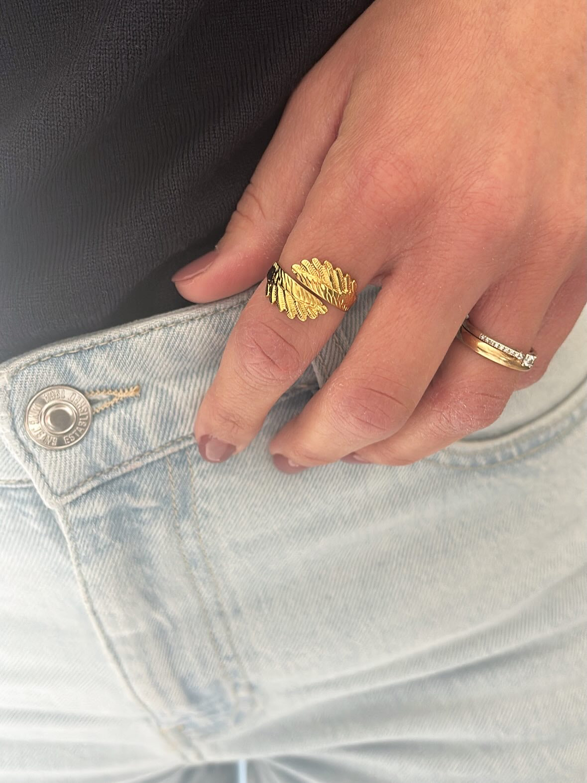 Anello Ali