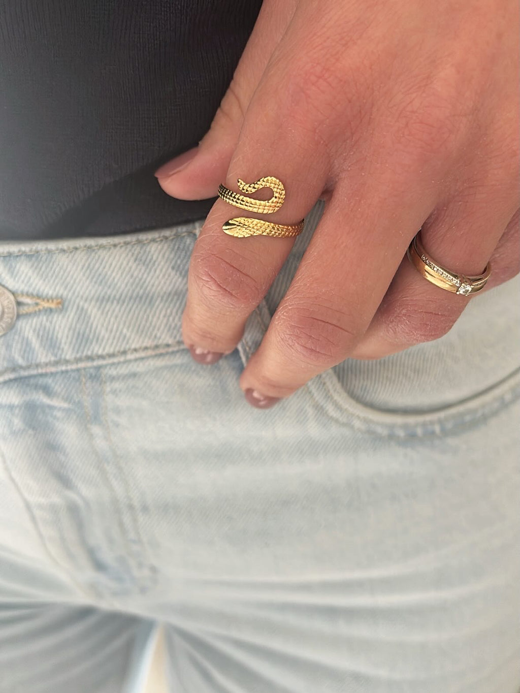 Anello Serpente