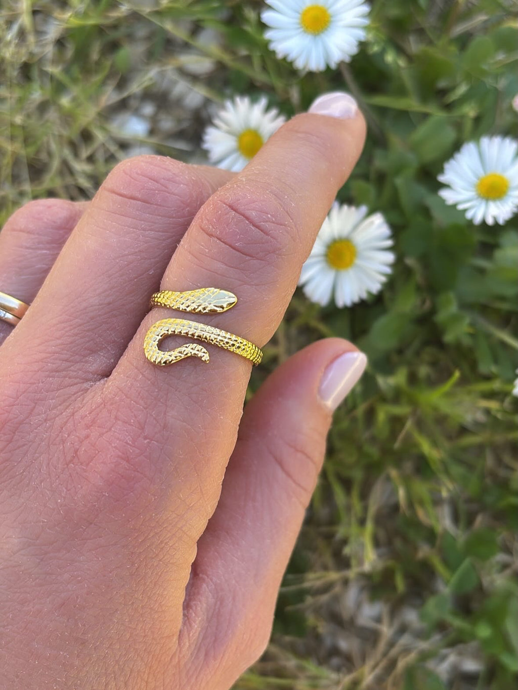 Anello Serpente