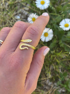 Anello Serpente