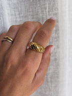 Anello trama